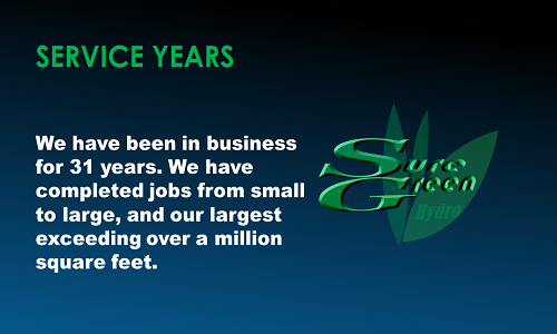 Our Service Years In Business